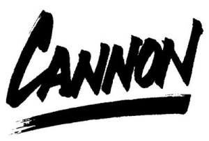 Cannon Mountain